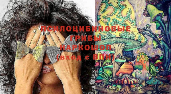 ГАЛЛЮЦИНОГЕННЫЕ ГРИБЫ Алексеевка