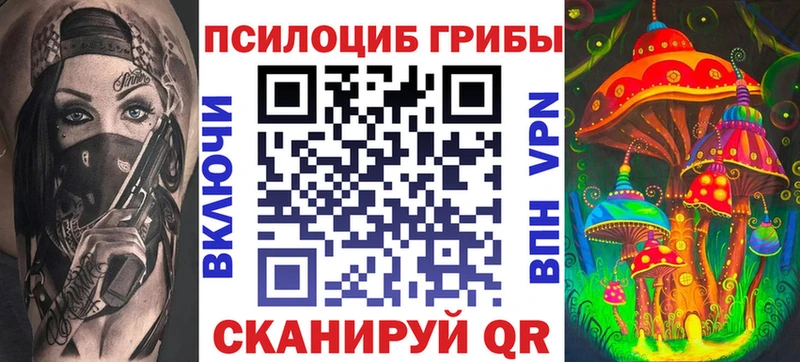 Псилоцибиновые грибы Cubensis  Бирск 